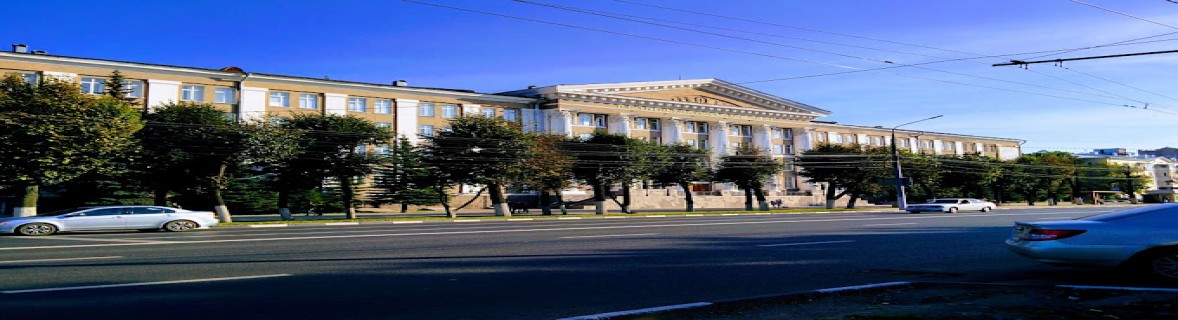 Tula State University banner